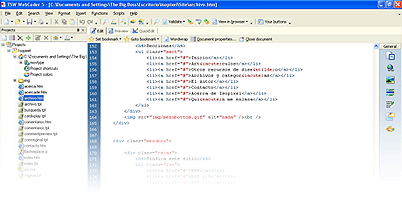 Screenshot de TSW WebCoder